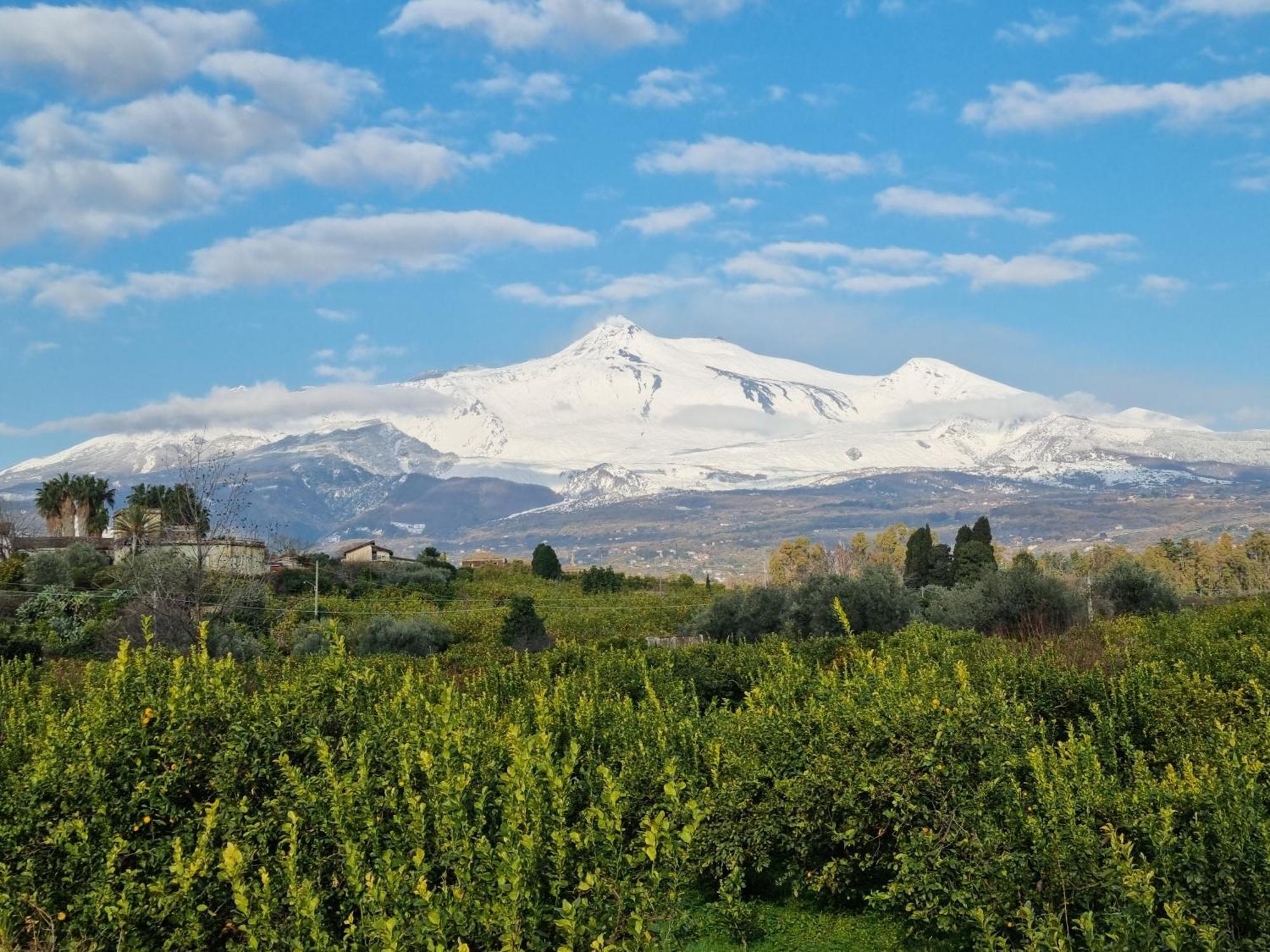 Luxury Relaxing Home With Heated Pool Near Catania, Taormina, The Sea And Mount Etna Giarre Ngoại thất bức ảnh